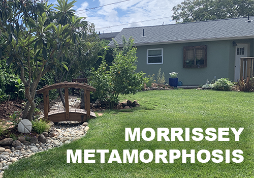 Morrissey Metamorphosis